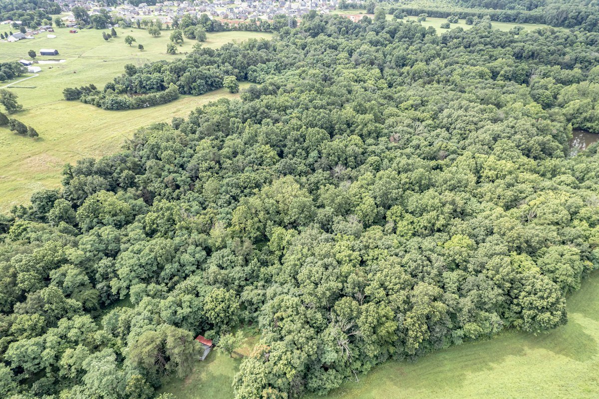 Image for Real Estate Auction in Mt. Washington/Shepherdsville