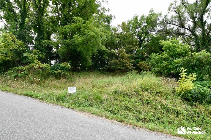 Image for Town of Pulaski, VA Tax Delinquent Real Estate Auction