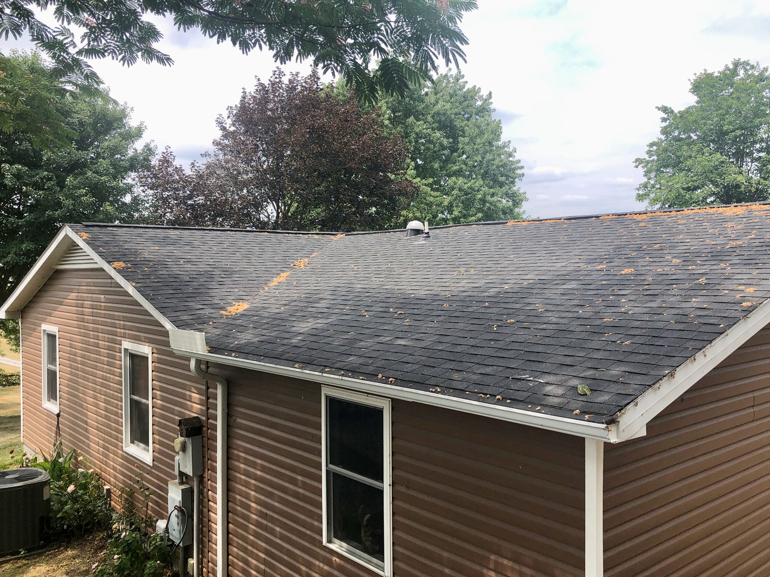 Image for Immaculate 3 BR/2 BA Home on .88 +/- Acre Lot w/Amazing Mountain Views in Rockingham County, VA