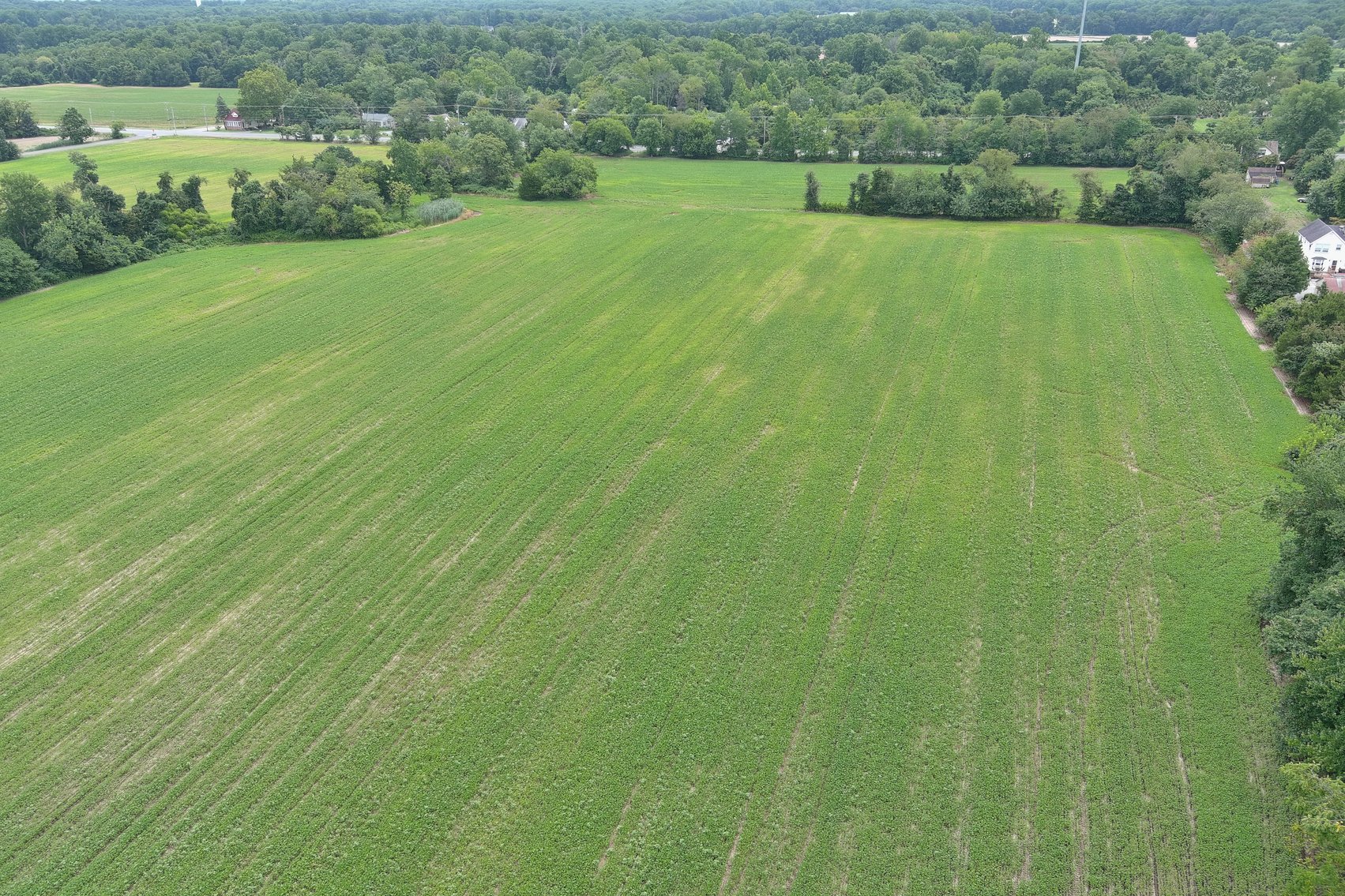 Image for 39 +/- Prime Acres Available in Mantua Township w/1292 +/- SF of Road Frontage