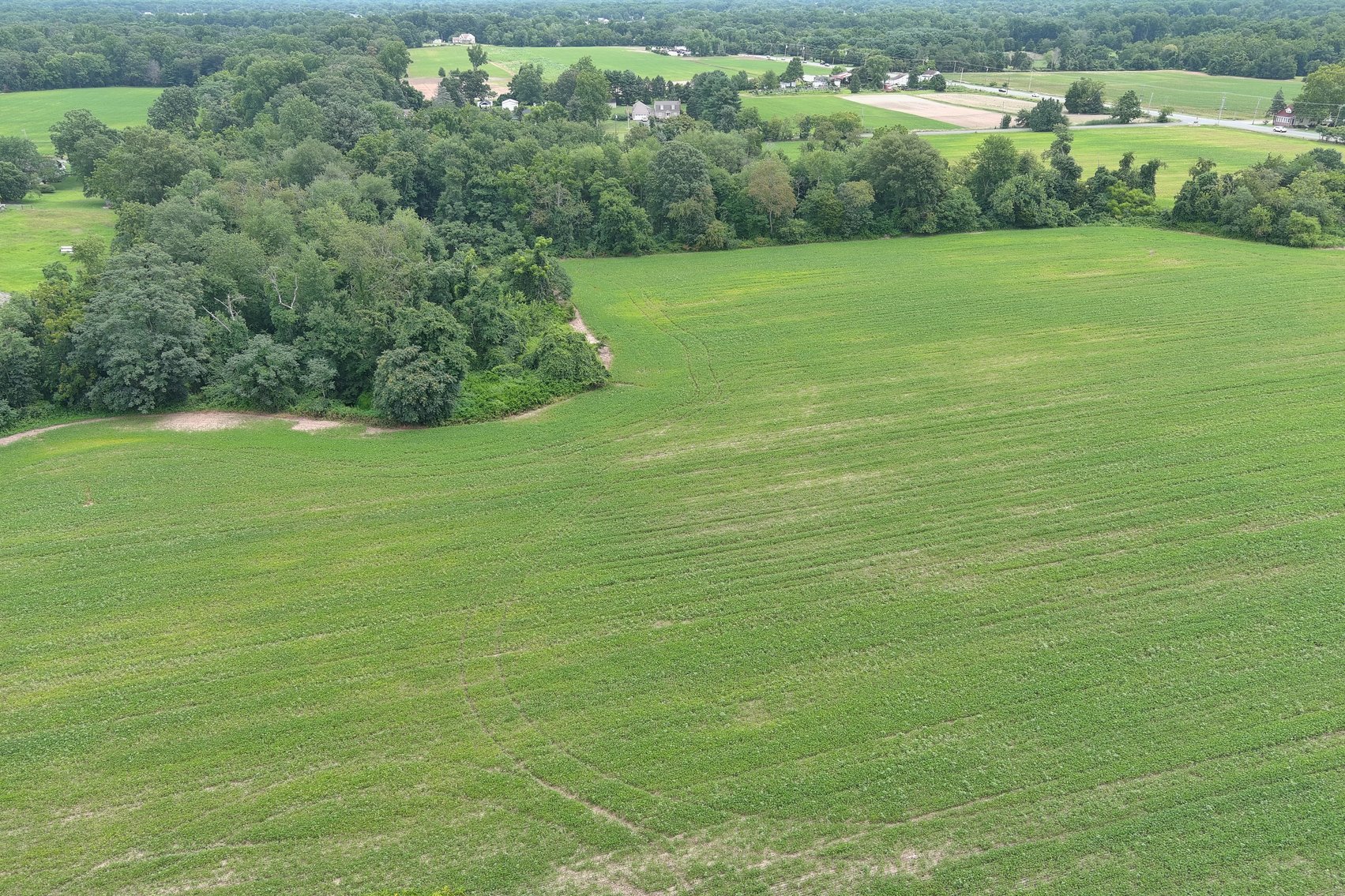Image for 39 +/- Prime Acres Available in Mantua Township w/1292 +/- SF of Road Frontage