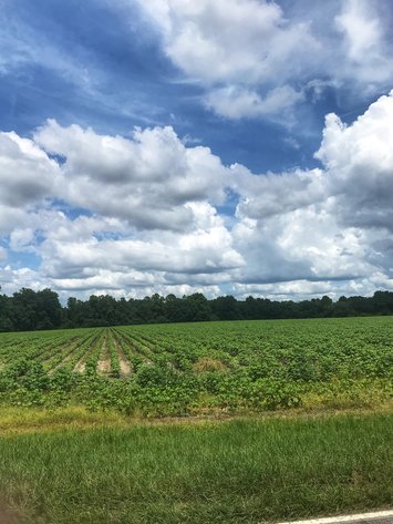 Image for LIVE AUCTION - Thursday, September 16th @ 7:00 P.M.