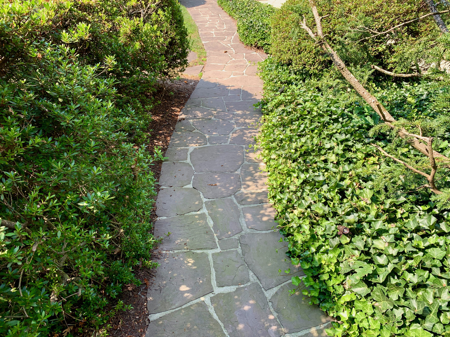 Image for 3 BR/2 BA Home in Alexandria, VA--Minutes from Reagan National Airport, Pentagon, DC, Amazon & More!!