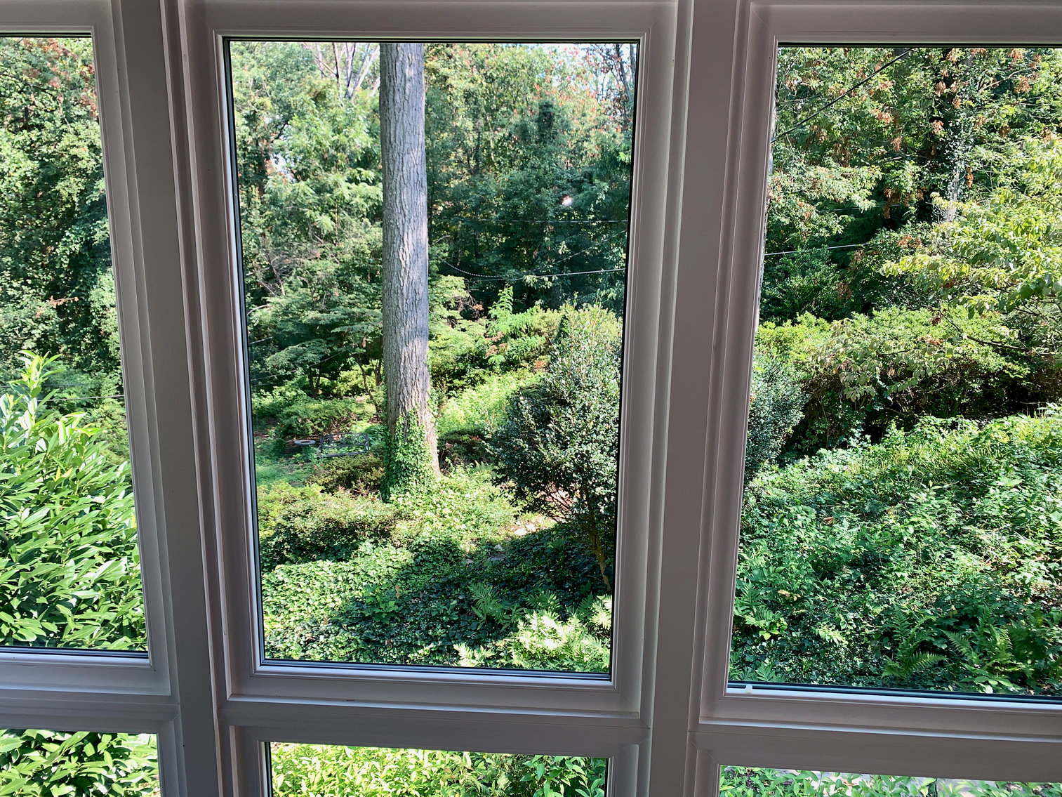 Image for 3 BR/2 BA Home in Alexandria, VA--Minutes from Reagan National Airport, Pentagon, DC, Amazon & More!!