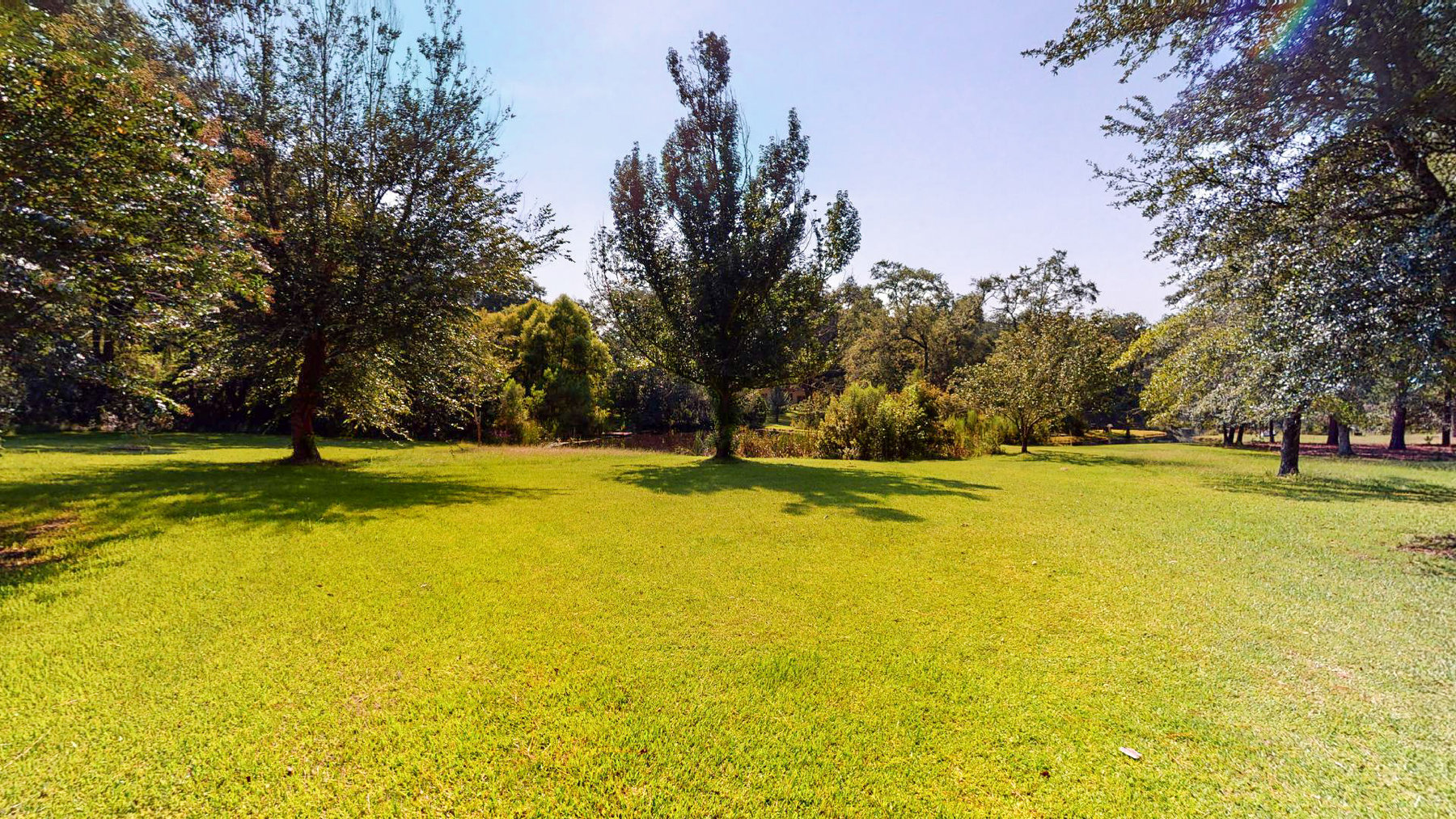 Image for Turn-Key Ranch Style Home on 20 Acres in Colquitt County