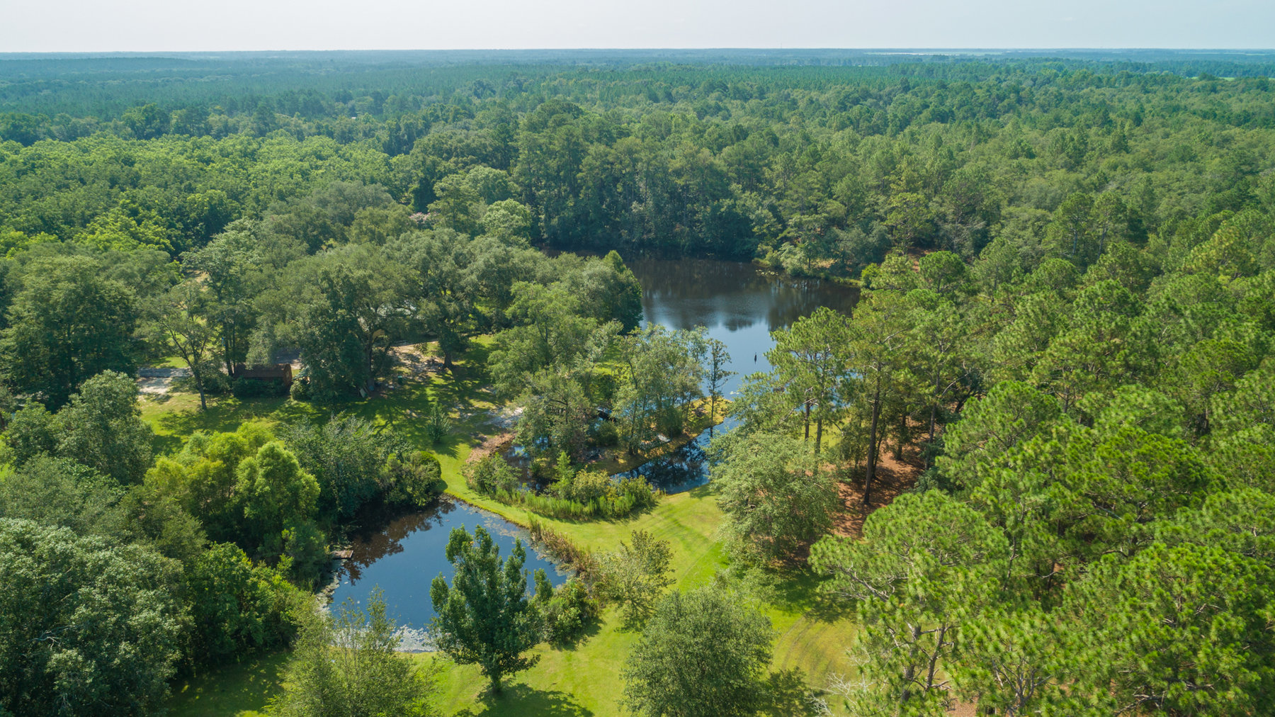 Image for Turn-Key Ranch Style Home on 20 Acres in Colquitt County