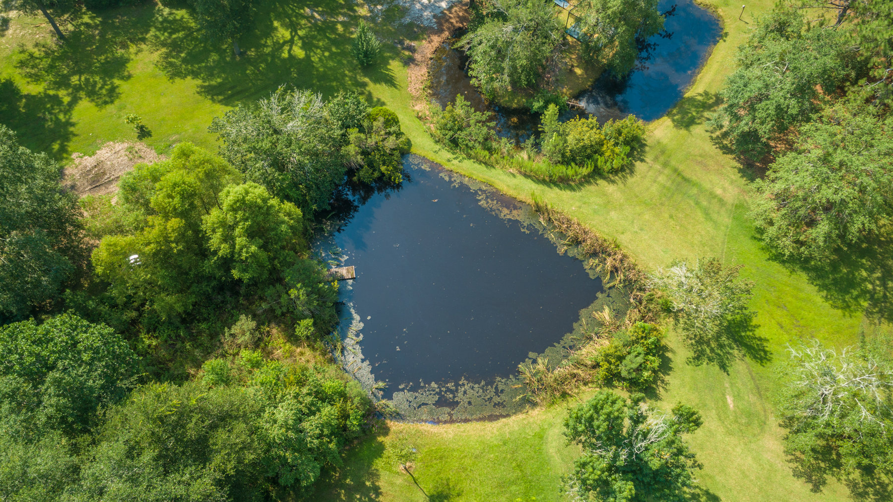 Image for Turn-Key Ranch Style Home on 20 Acres in Colquitt County