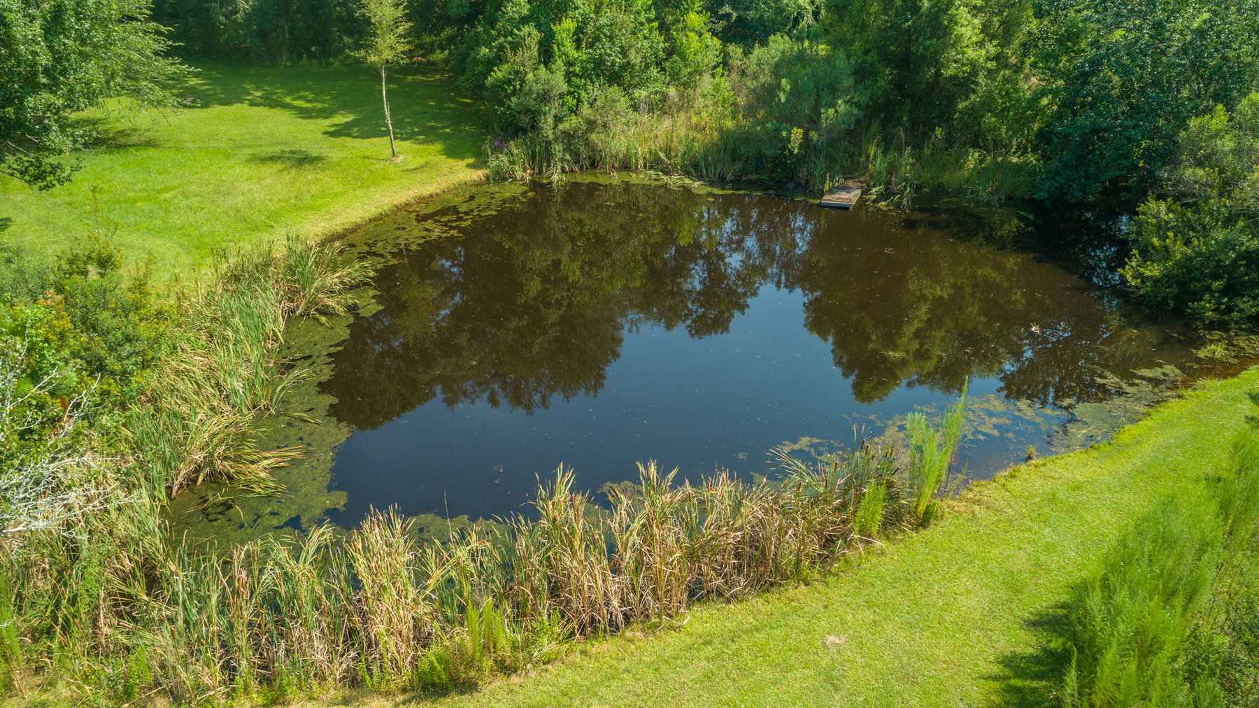 Image for Turn-Key Ranch Style Home on 20 Acres in Colquitt County