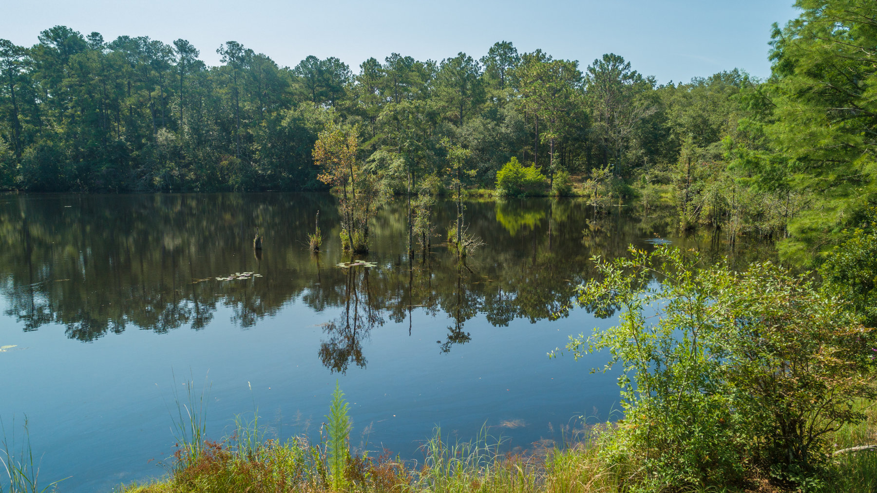 Image for Turn-Key Ranch Style Home on 20 Acres in Colquitt County