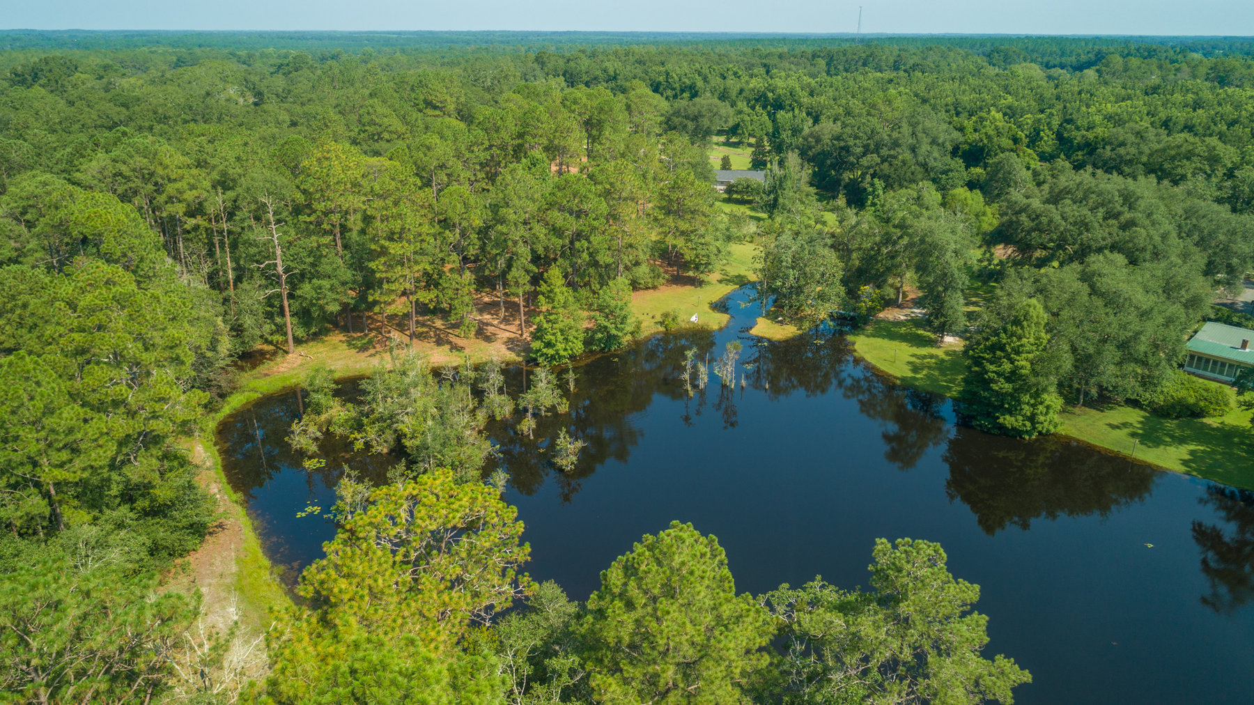 Image for Turn-Key Ranch Style Home on 20 Acres in Colquitt County