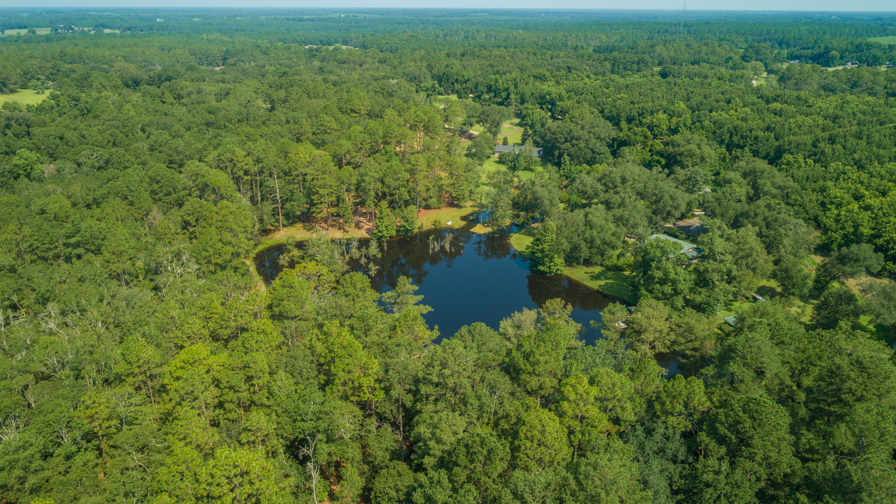 Image for Turn-Key Ranch Style Home on 20 Acres in Colquitt County