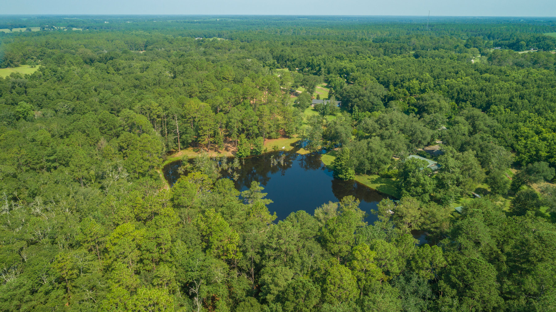 Image for Turn-Key Ranch Style Home on 20 Acres in Colquitt County