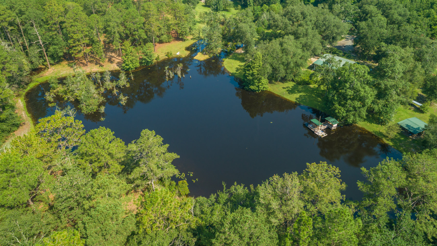 Image for Turn-Key Ranch Style Home on 20 Acres in Colquitt County