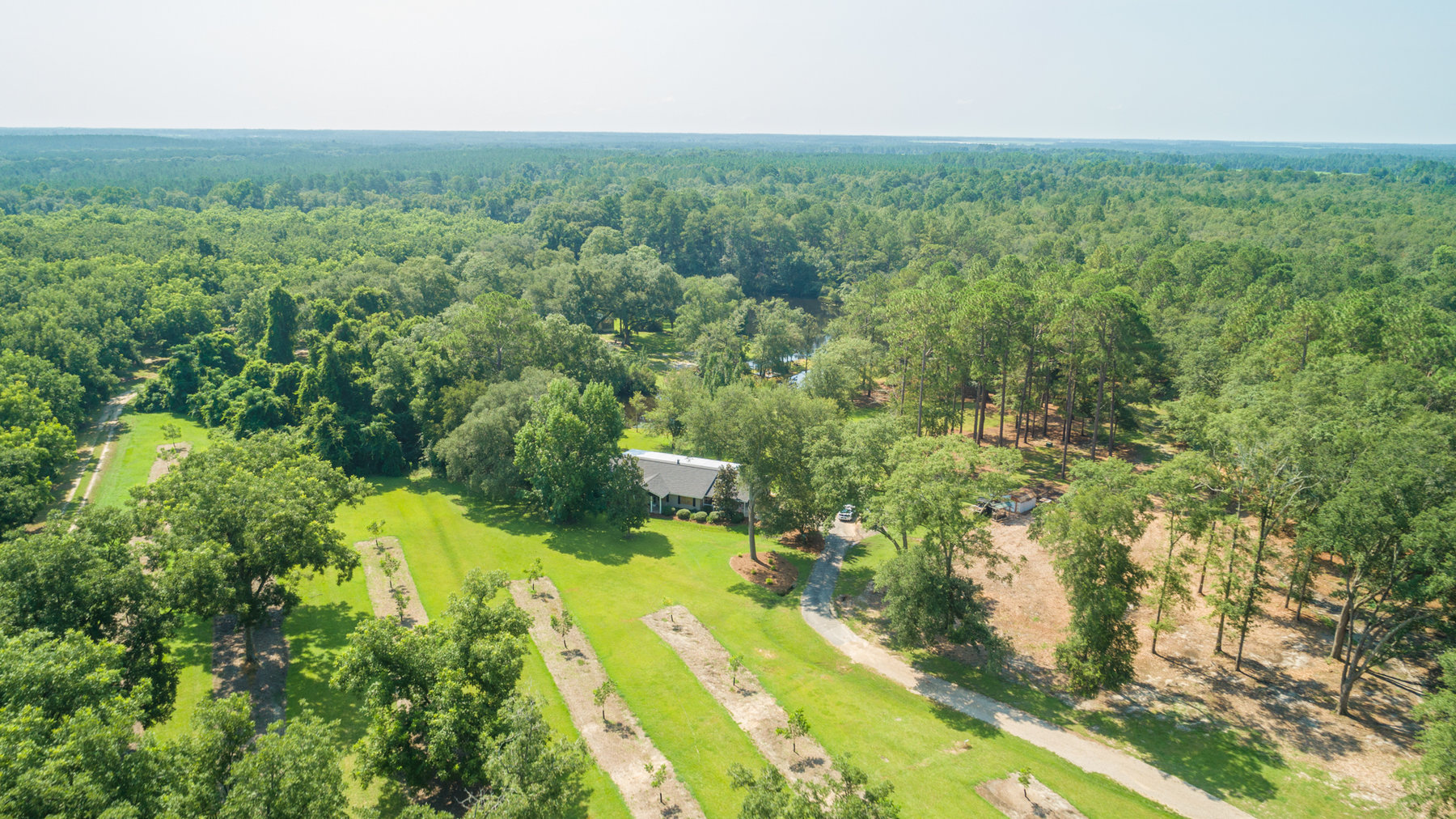 Image for Turn-Key Ranch Style Home on 20 Acres in Colquitt County