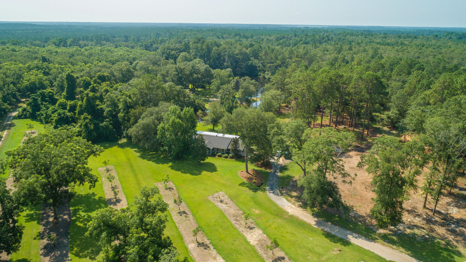 Image for Turn-Key Ranch Style Home on 20 Acres in Colquitt County