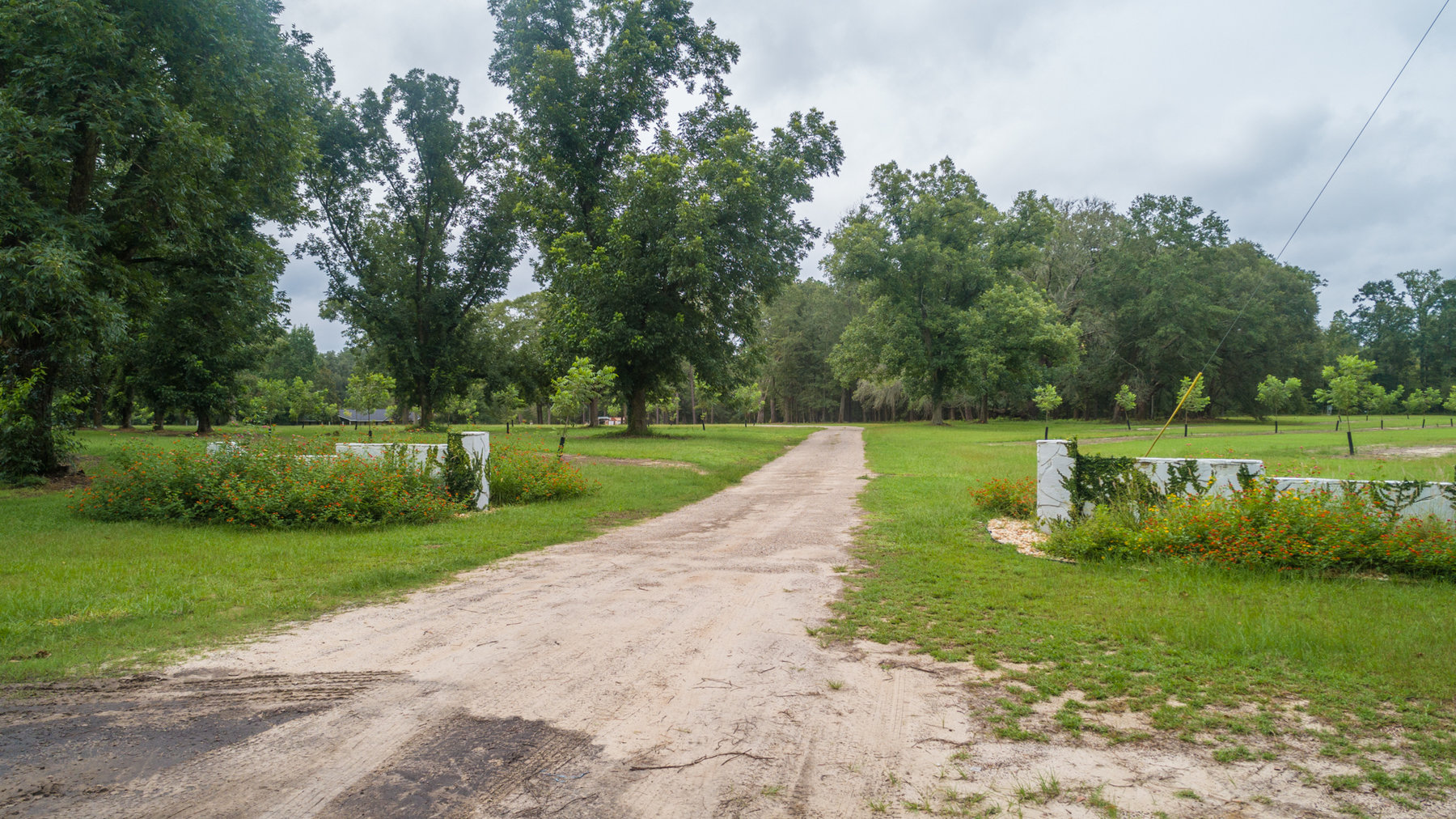 Image for Turn-Key Ranch Style Home on 20 Acres in Colquitt County
