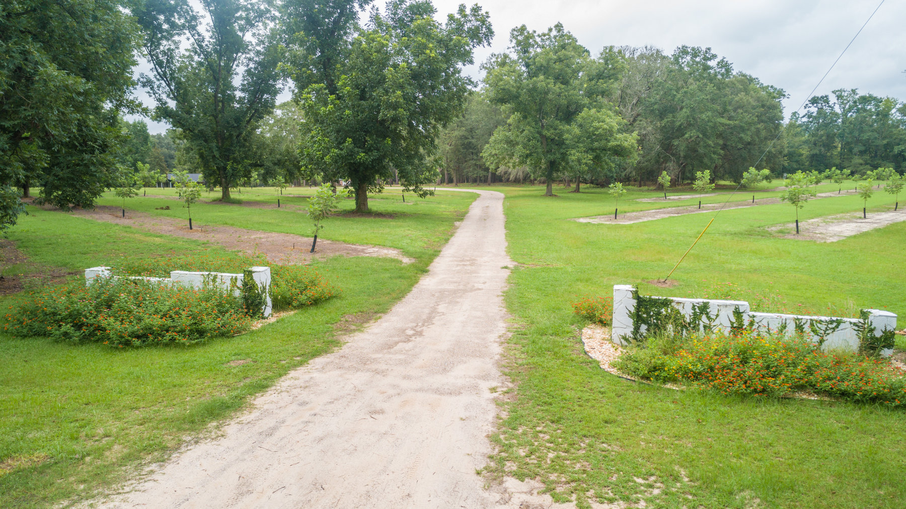 Image for Turn-Key Ranch Style Home on 20 Acres in Colquitt County