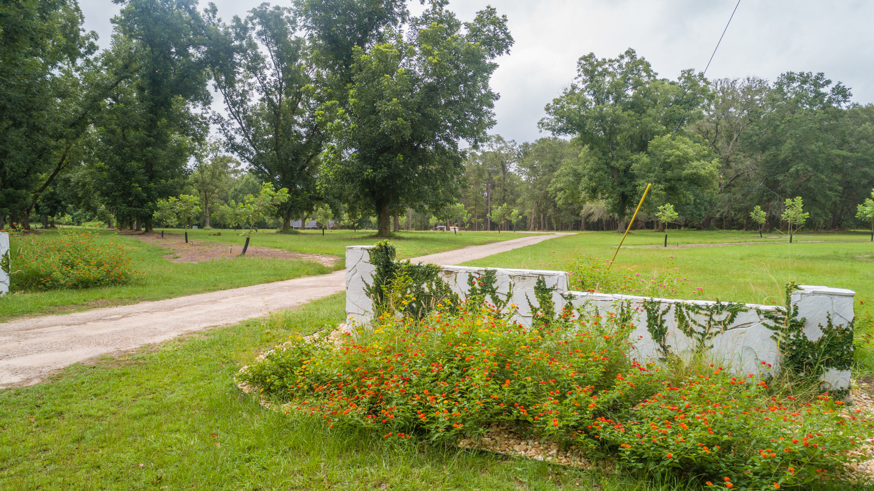 Image for Turn-Key Ranch Style Home on 20 Acres in Colquitt County