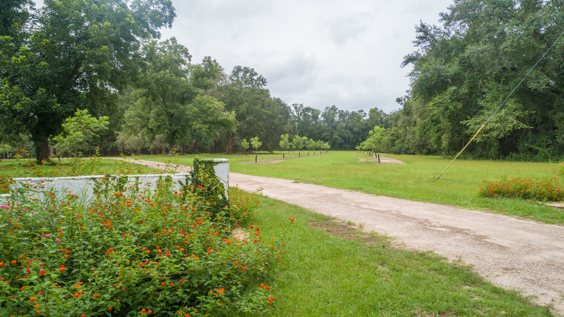 Image for Turn-Key Ranch Style Home on 20 Acres in Colquitt County