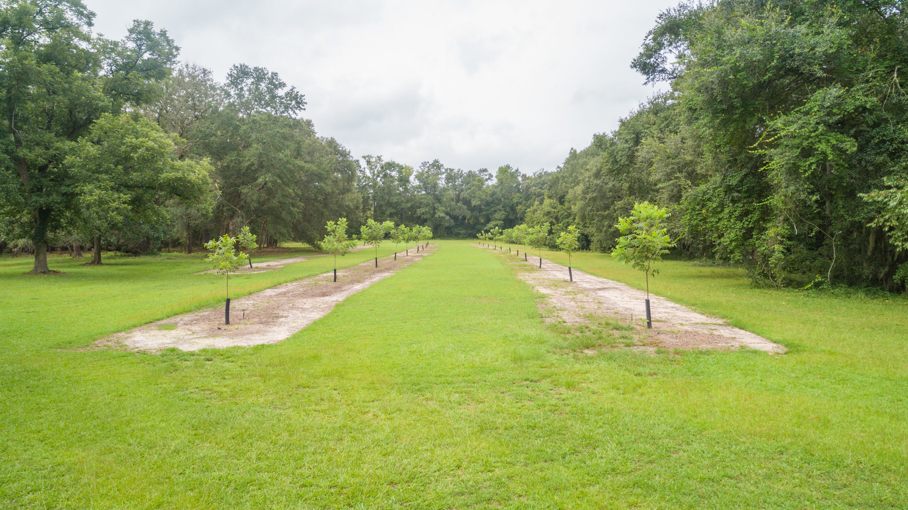 Image for Turn-Key Ranch Style Home on 20 Acres in Colquitt County