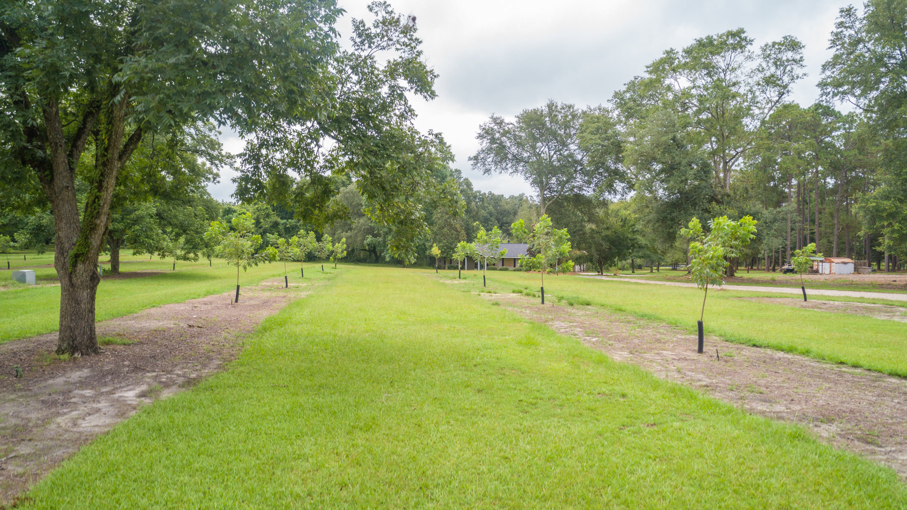 Image for Turn-Key Ranch Style Home on 20 Acres in Colquitt County