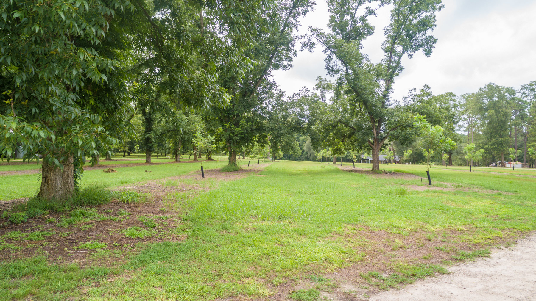 Image for Turn-Key Ranch Style Home on 20 Acres in Colquitt County