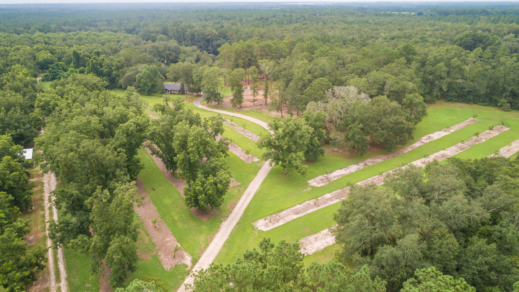 Image for Turn-Key Ranch Style Home on 20 Acres in Colquitt County