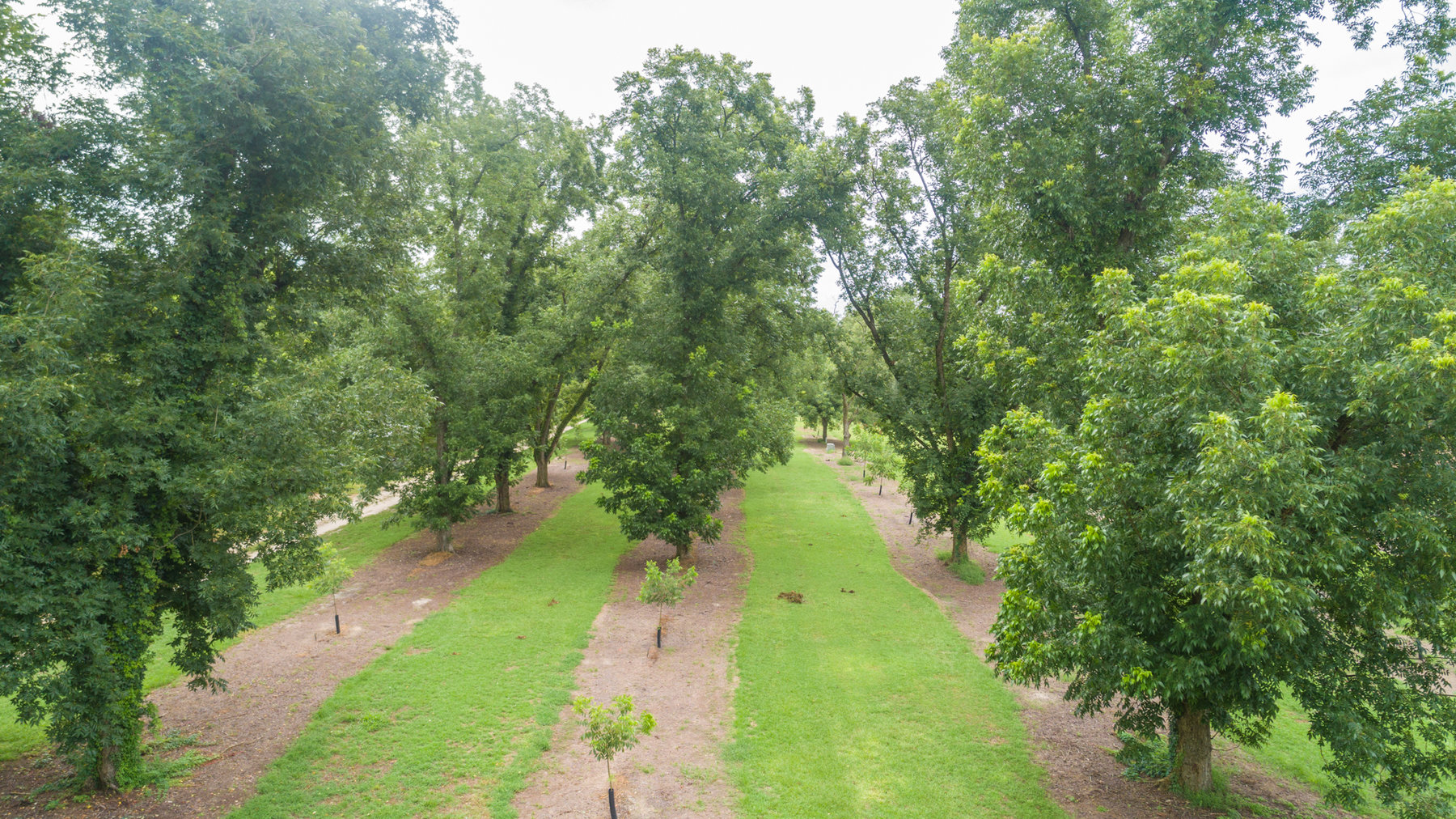 Image for Turn-Key Ranch Style Home on 20 Acres in Colquitt County