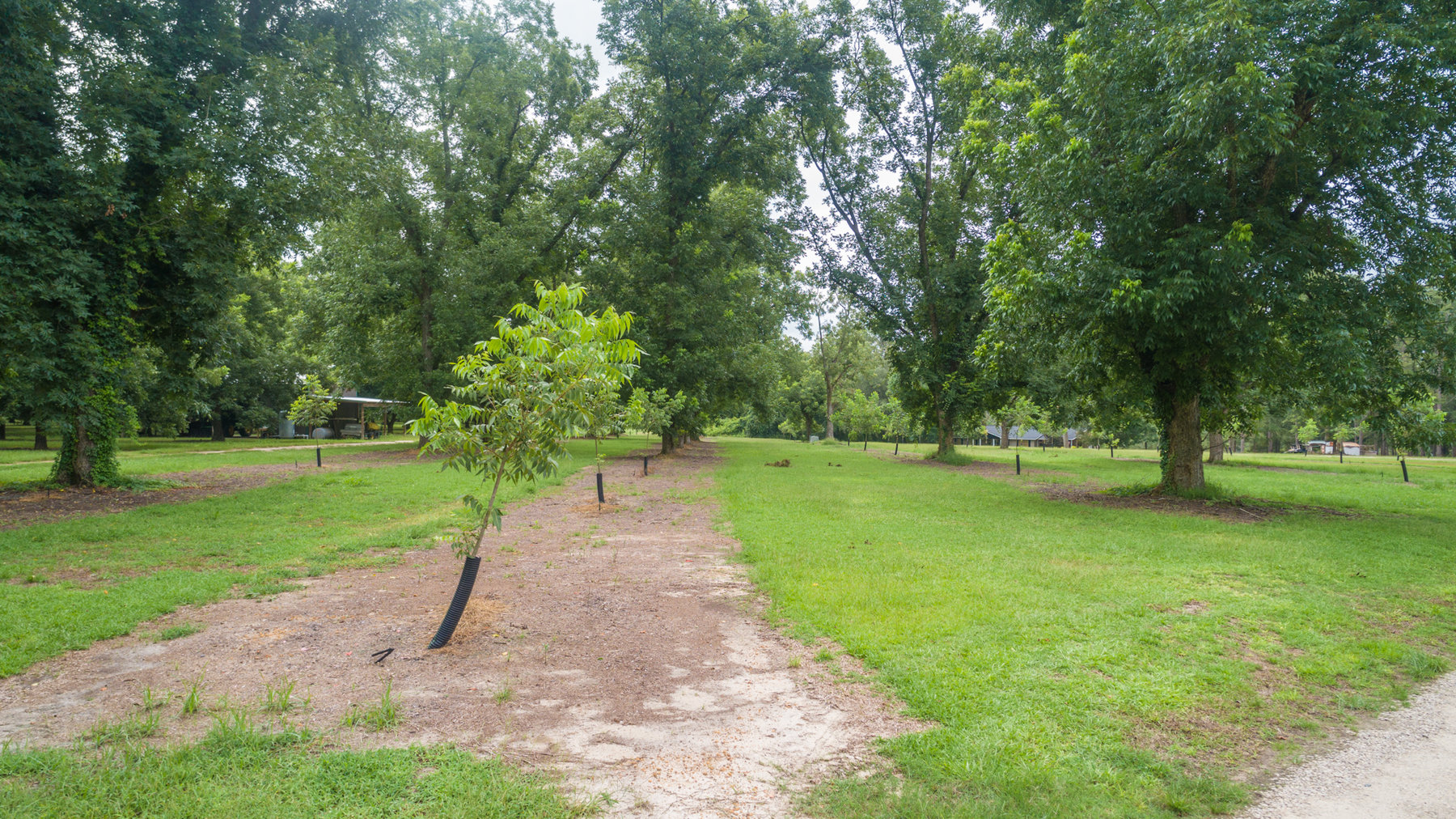 Image for Turn-Key Ranch Style Home on 20 Acres in Colquitt County