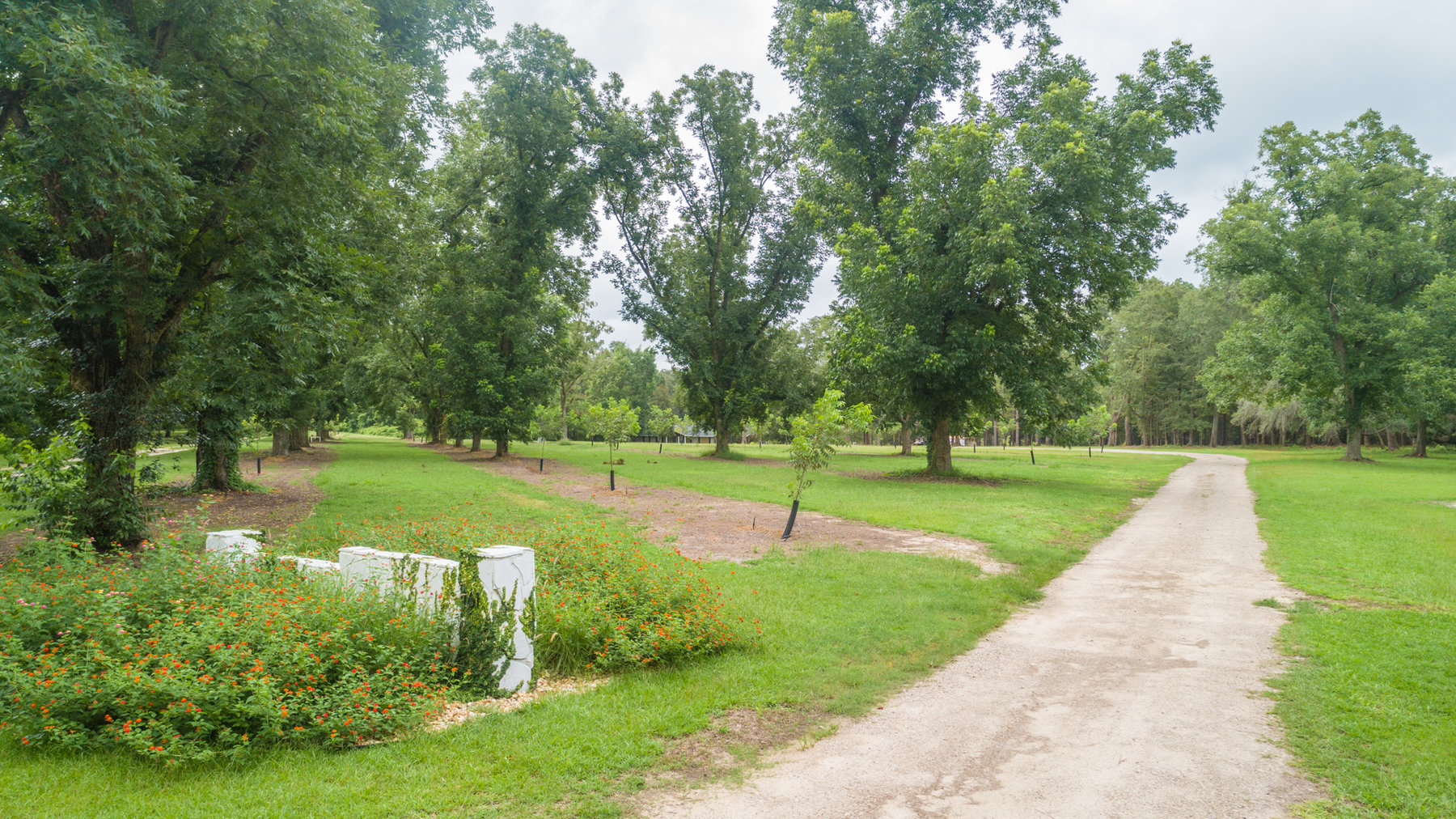 Image for Turn-Key Ranch Style Home on 20 Acres in Colquitt County