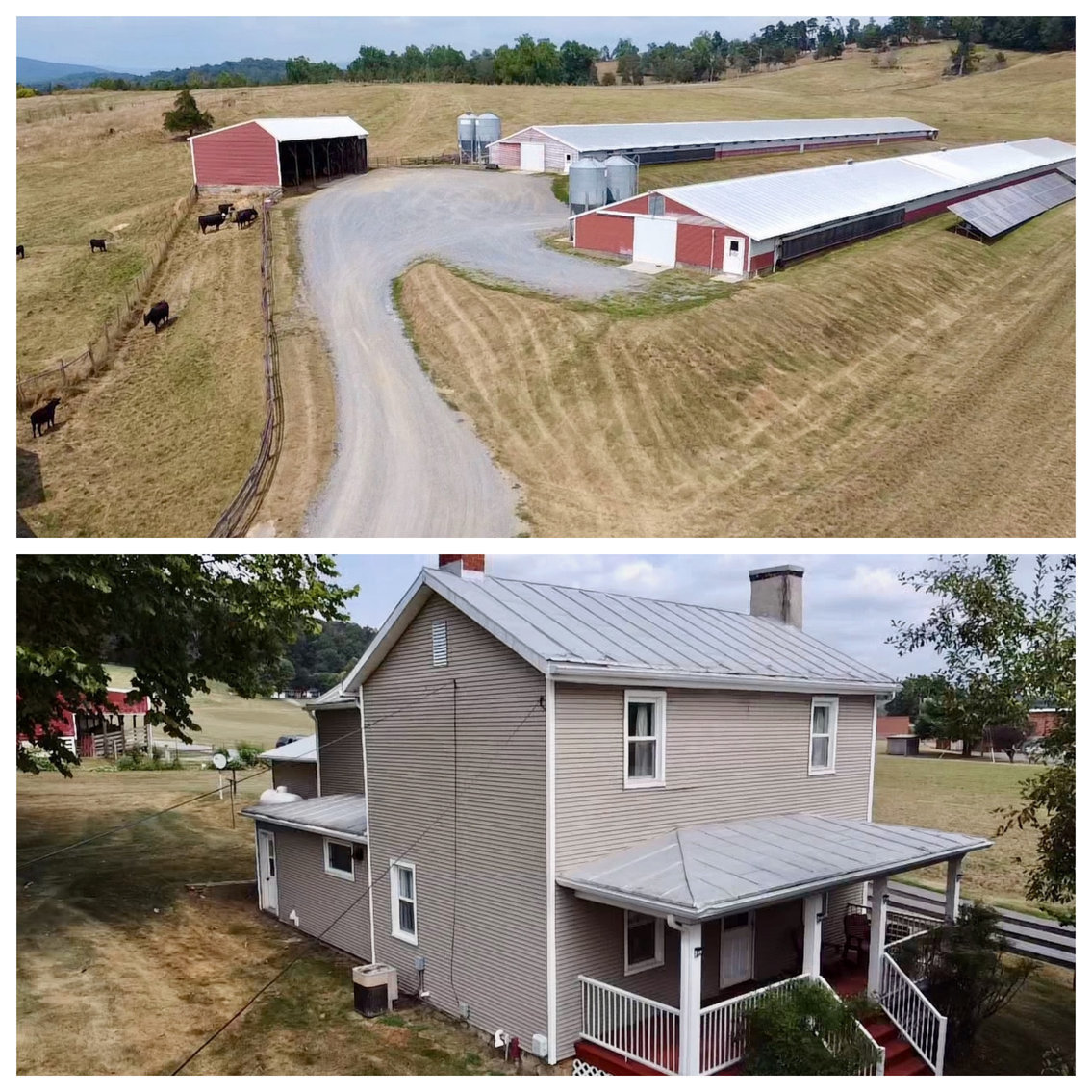 Image for Combo of #1 and #2 -- Immaculate 3 BR/2 BA Home on .88 +/- Acre Lot and 47.9 +/- Acre Farm  --  Rockingham County, VA