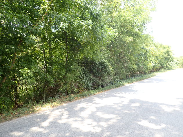 Image for Absolute Real Estate Auction