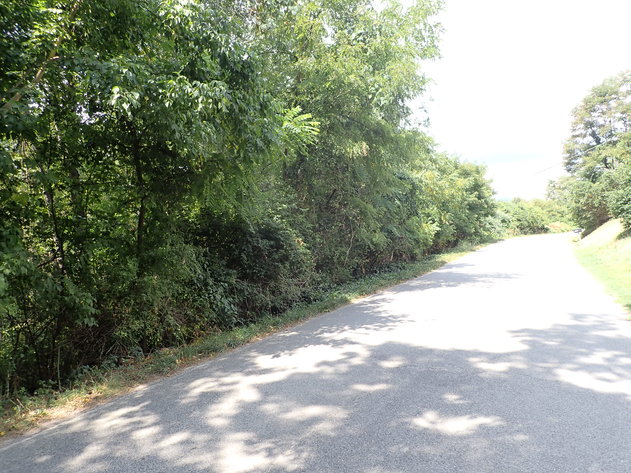 Image for Absolute Real Estate Auction