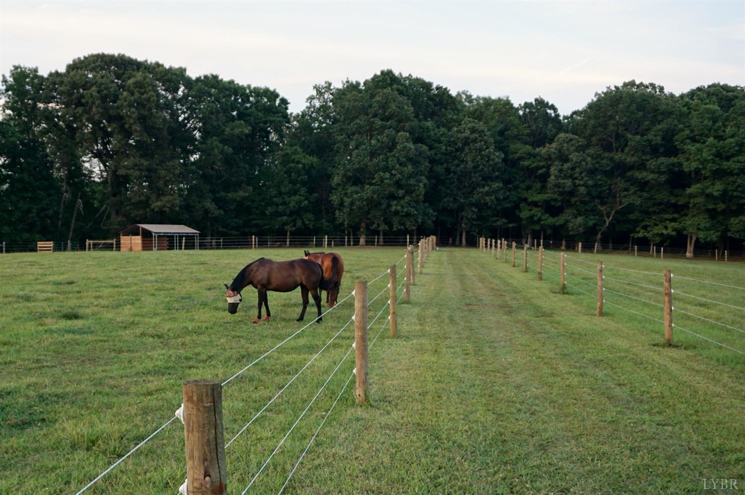 Image for 225 Cattle Ln, Evington, VA 24550