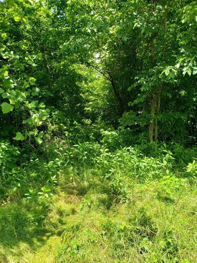 Image for Leda Rd,  Halifax, VA  24588