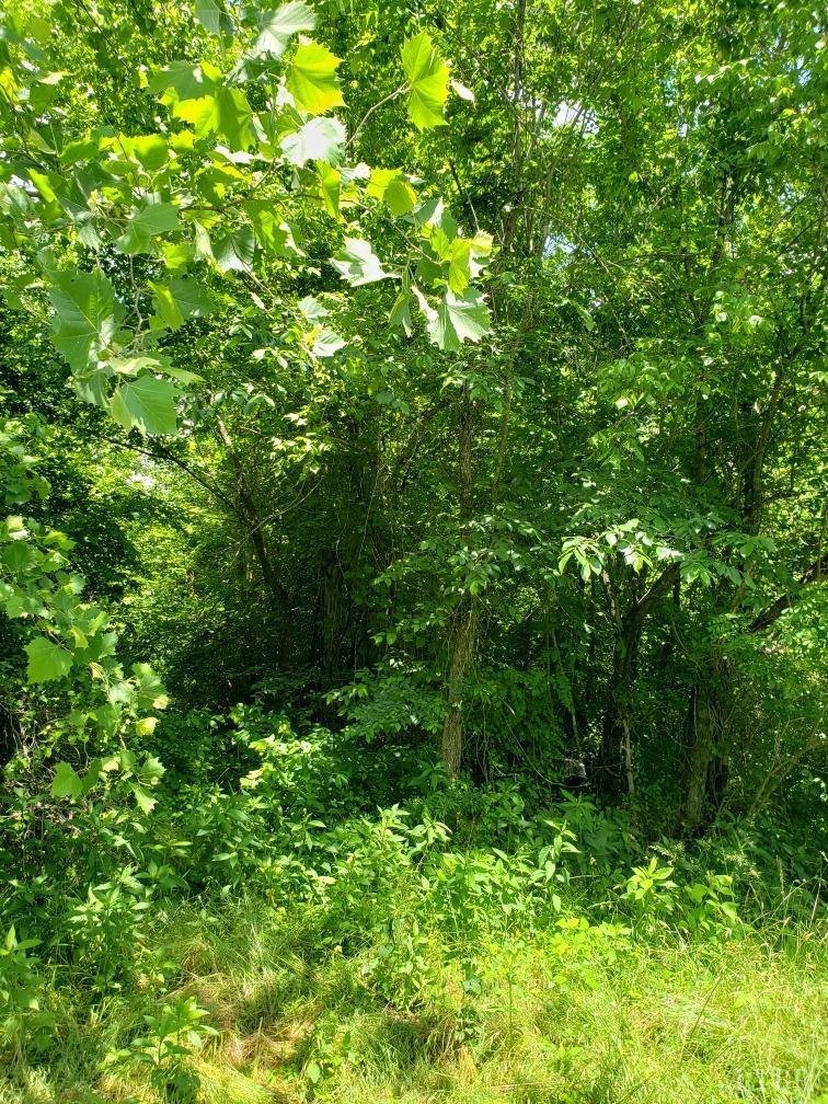 Image for Leda Rd,  Halifax, VA  24588