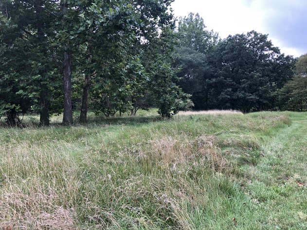 Image for 6 Riverhills Lane, Toledo, Ohio 43623