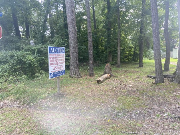 Image for IOW, SOCO, Newport News Tax Auction