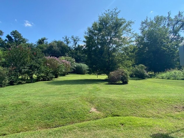 Image for ABSOLUTE LIVING ESTATE AUCTION