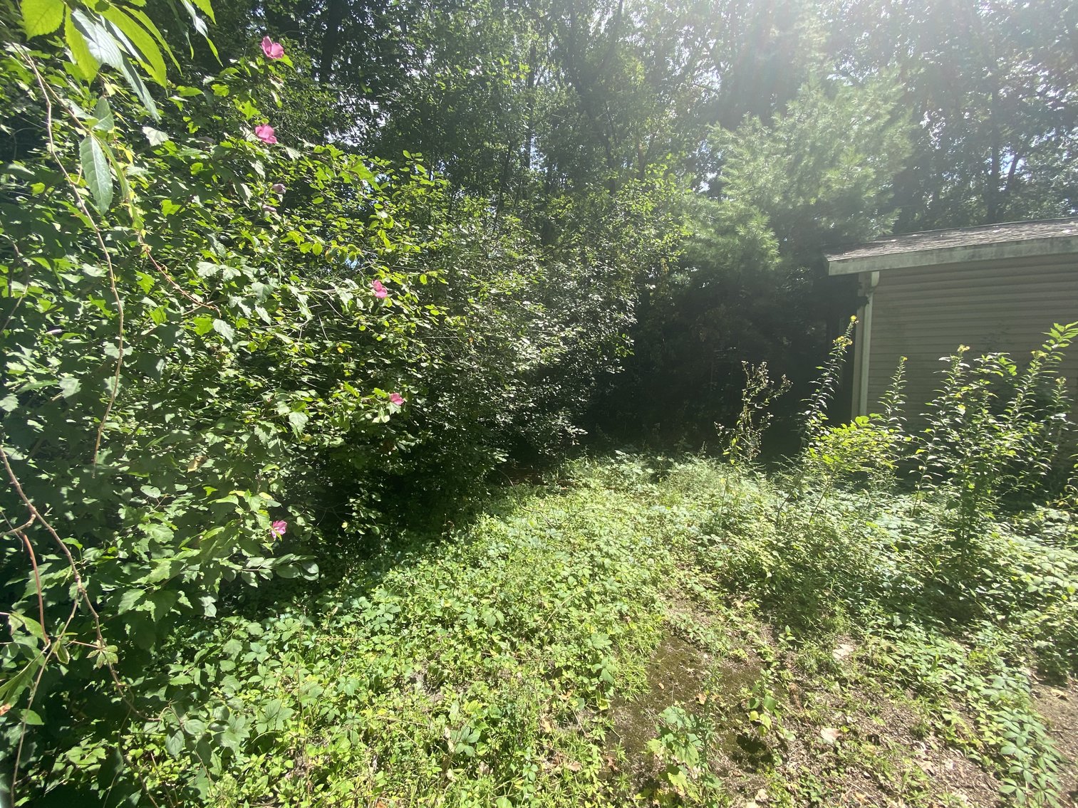 Image for 104 North Centennial Road, Holland, Ohio 43528