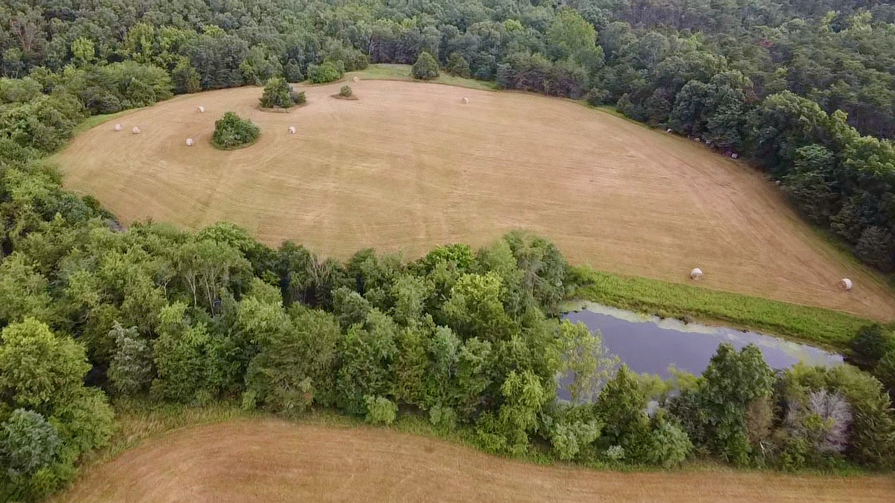 Image for 49.62 +/- Acres w/Income Producing Home, Pond & 2 Bay Shop/Garage--Frederick County, VA