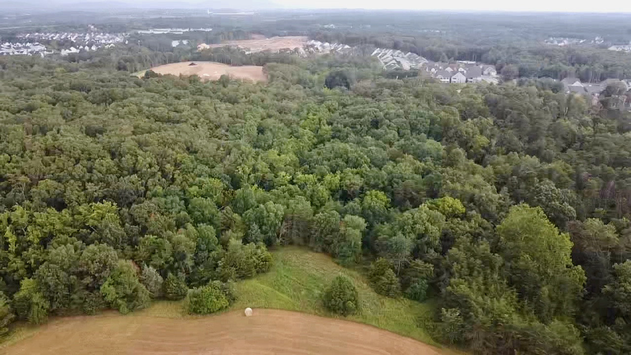 Image for 49.62 +/- Acres w/Income Producing Home, Pond & 2 Bay Shop/Garage--Frederick County, VA