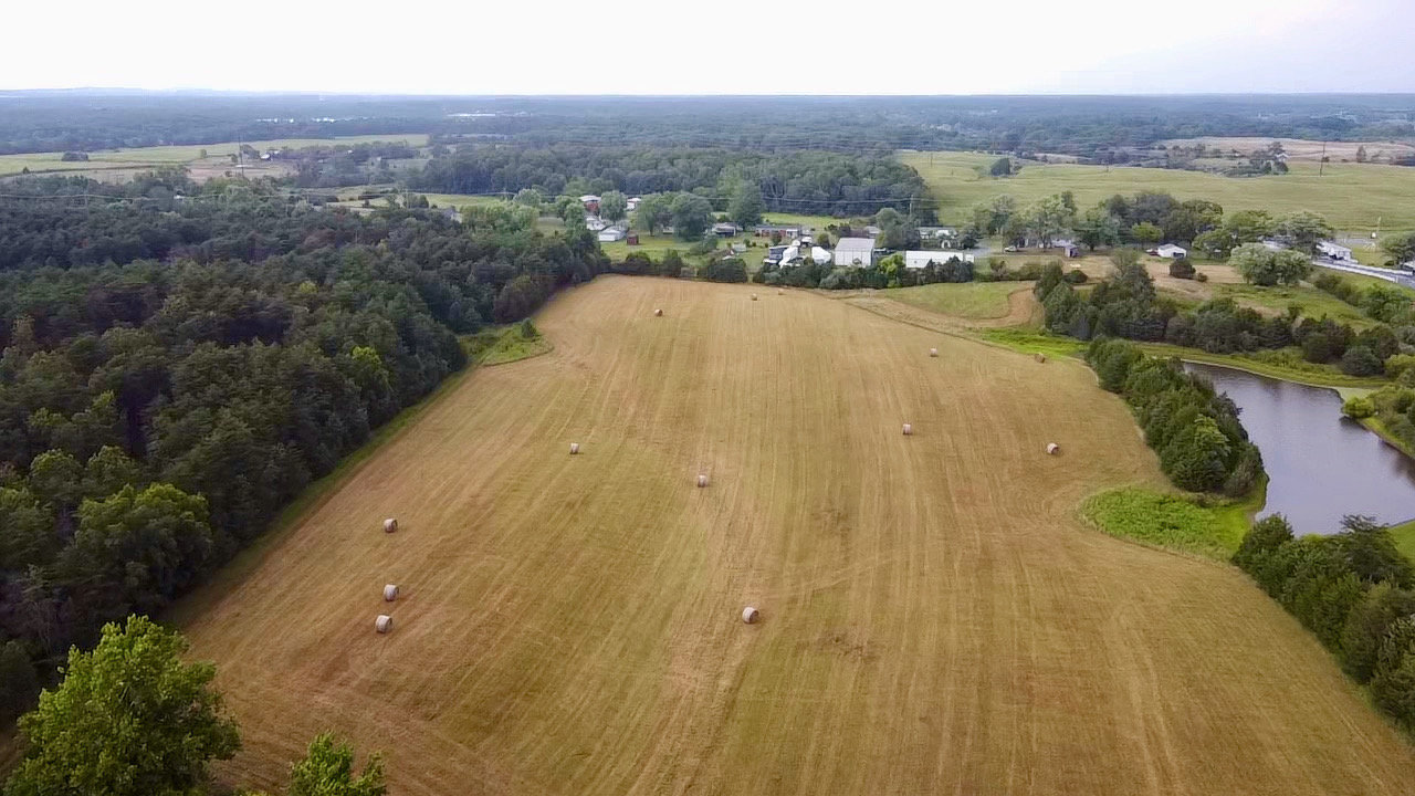 Image for 49.62 +/- Acres w/Income Producing Home, Pond & 2 Bay Shop/Garage--Frederick County, VA