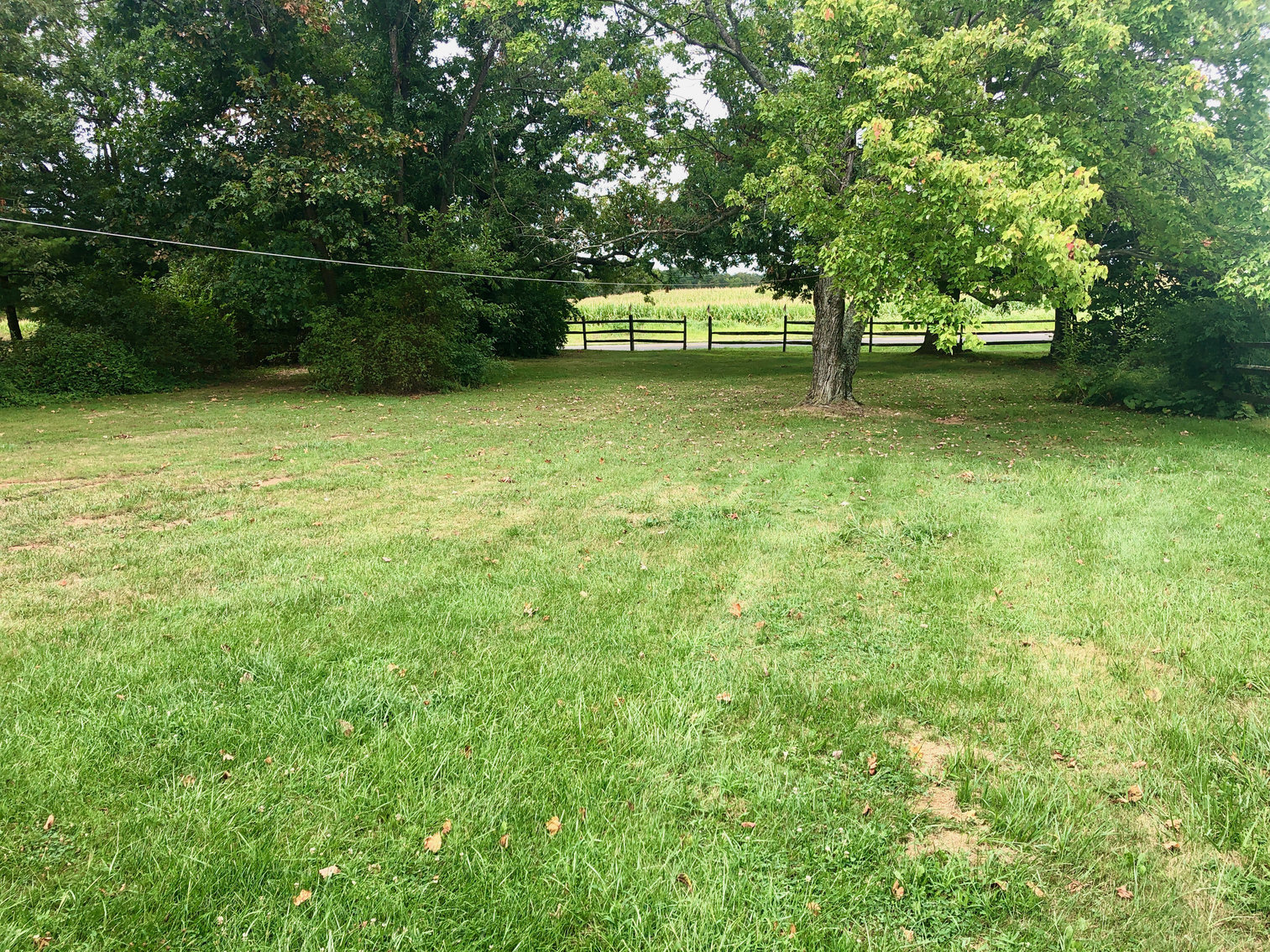 Image for 49.62 +/- Acres w/Income Producing Home, Pond & 2 Bay Shop/Garage--Frederick County, VA