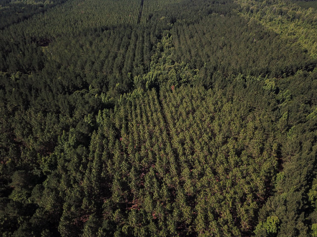 Image for ONLINE AUCTION - Thursday, September 16th