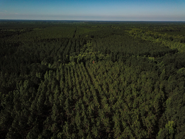 Image for ONLINE AUCTION - Thursday, September 16th