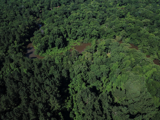 Image for ONLINE AUCTION - Thursday, September 16th