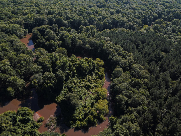 Image for ONLINE AUCTION - Thursday, September 16th