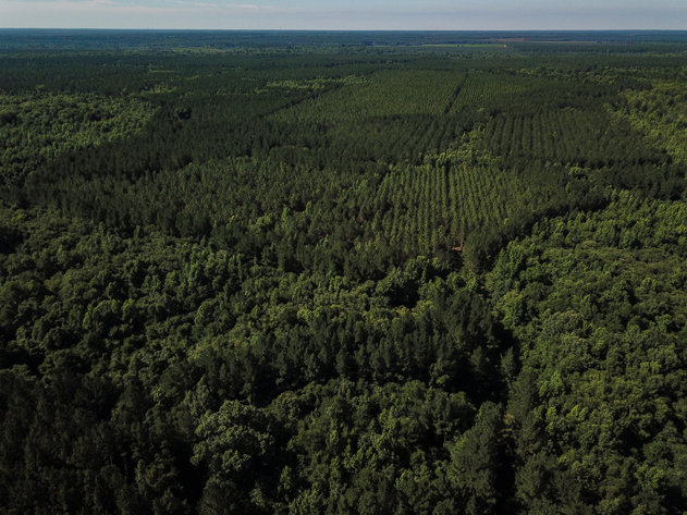 Image for ONLINE AUCTION - Thursday, September 16th