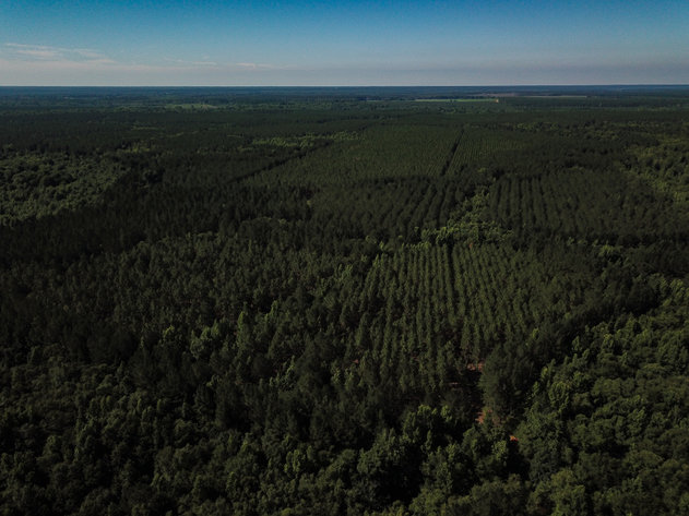 Image for ONLINE AUCTION - Thursday, September 16th